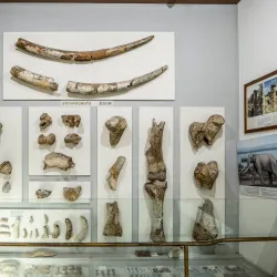 Folklore Museum of Kozani - Kozani