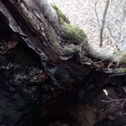 Lake Polyfytos - Kozani