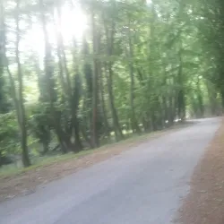 Lake Polyfytos - Kozani