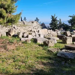 Archaeological Museum of Lamia - Lamia