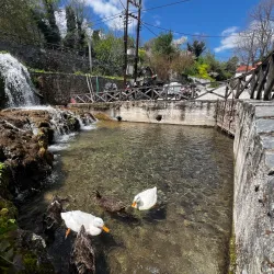 Platanos Square - Lamia