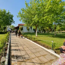 Agia Marina Church - Larissa