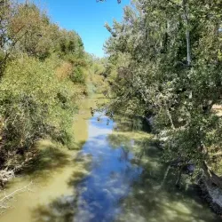 Alkazar Park - Larissa
