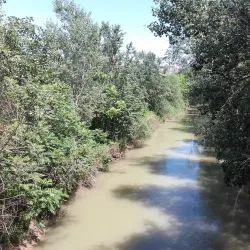 Pinios River and Riverside Walks - Larissa