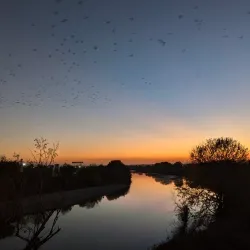 Pinios River and Riverside Walks - Larissa