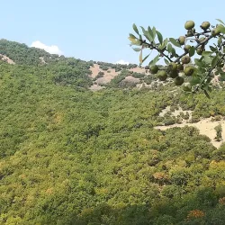 Pinios River and Riverside Walks - Larissa