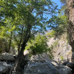 Evia Island Hiking Trails - Limni (Evia Island)