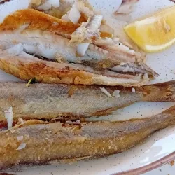 Limni Waterfront Taverns - Limni (Evia Island)