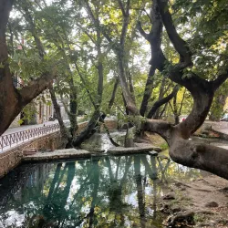 Krya Springs - Livadeia