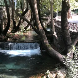 Krya Springs - Livadeia