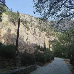 Livadeia Archaeological Museum - Livadeia