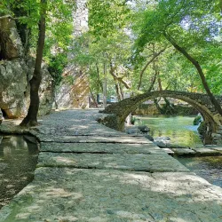 Livadeia Archaeological Museum - Livadeia