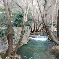 Livadeia Archaeological Museum - Livadeia
