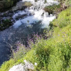 Livadeia Central Square - Livadeia