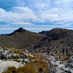 Mount Parnassus - Livadeia