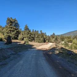 Mount Parnassus - Livadeia