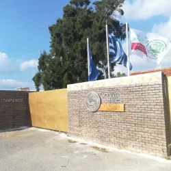 Megara Olive Groves - Megara