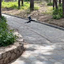 Alsos Melission Park - Melissia