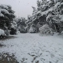 Alsos Melission Park - Melissia