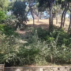 Alsos Melission Park - Melissia