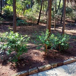 Alsos Melission Park - Melissia