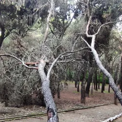 Alsos Melission Park - Melissia