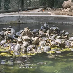 Athens National Park (nearby) - Melissia