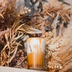 Local Cafes and Taverns - Melissia