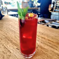 Local Cafes and Taverns - Melissia