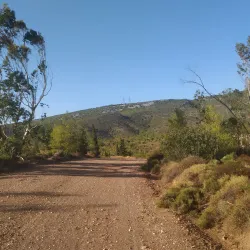 Penteli Mountain (nearby) - Melissia