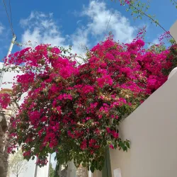 Chalki Village - Naxos
