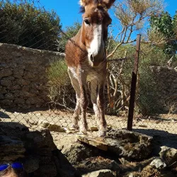 Mount Zas (Zeus) - Naxos