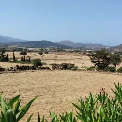 Temple of Demeter - Naxos