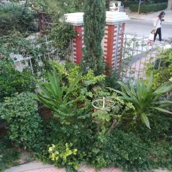 Nea Smyrni Library - Nea Smyrni