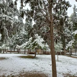 Nea Smyrni Park - Nea Smyrni