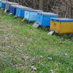 Cultural Center of Orestiada - Orestiada