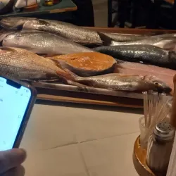 Traditional Greek Tavernas - Orestiada