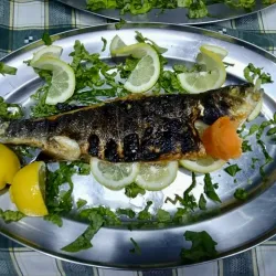 Traditional Greek Tavernas - Orestiada