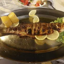 Traditional Greek Tavernas - Orestiada