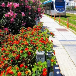 Palaio Faliro Beach - Palaio Faliro