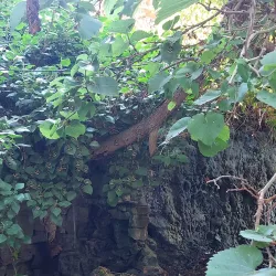 Butterfly Valley (Petaloudes) - Paros