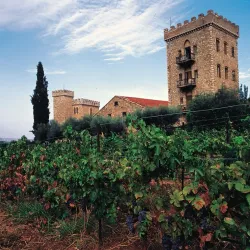 Achaia Clauss Winery - Patras