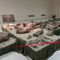 Municipal Museum of Ptolemaida - Ptolemaida (Ptolemais)