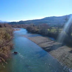 Alfeios River - Pyrgos