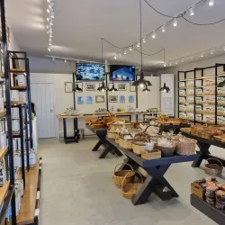 Laloumis Olive Oil Museum - Pyrgos