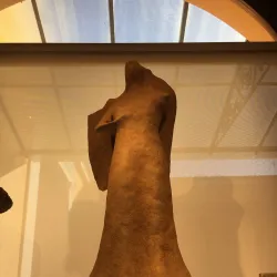 Pyrgos Archaeological Museum - Pyrgos