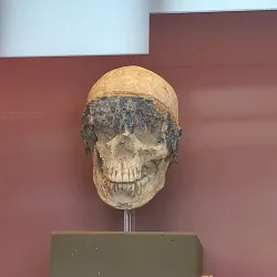 Pyrgos Archaeological Museum - Pyrgos