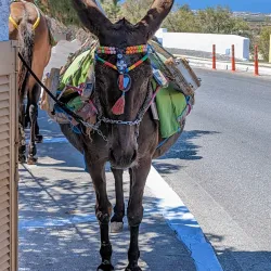 Pyrgos Central Square - Pyrgos