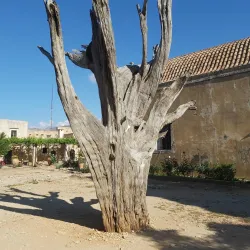 Arkadi Monastery - Rethymno