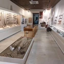 Historical and Folklore Museum of Rethymno - Rethymno